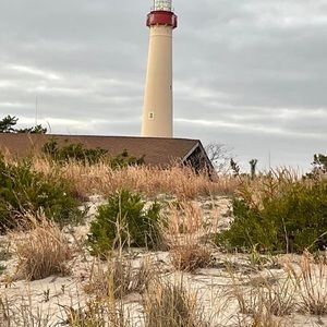 Meet your Posher, Barbara